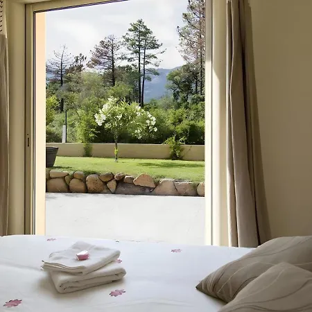 Rez De Villa Climatise Avec Jardin Daire Sotta